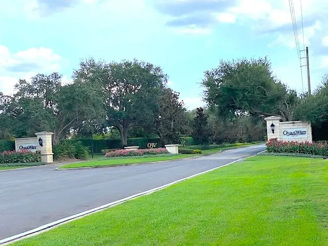 A road with some trees and grass on it