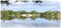 A lake with palm trees and bushes in the background.