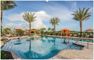 A pool with palm trees and blue water