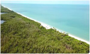 A view of the ocean from above.