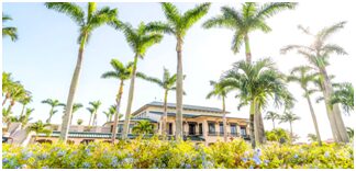 A large building with palm trees in the background.