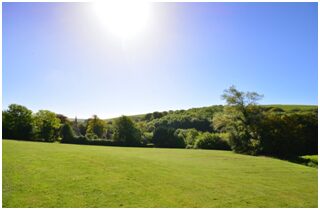 A field with trees and sun shining in the background.