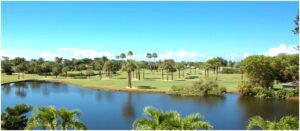 A view of a golf course with palm trees.