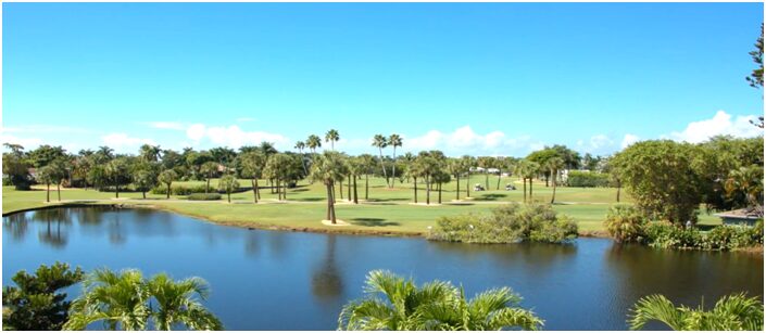 A view of a golf course with palm trees.